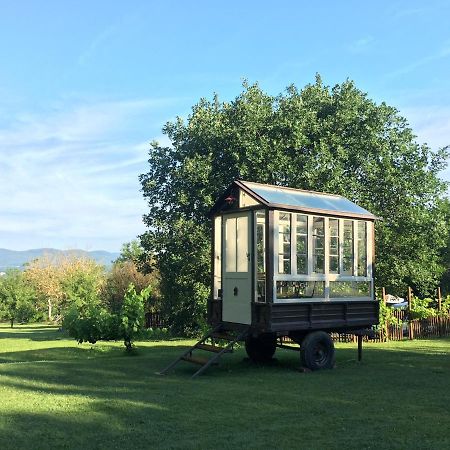 Agriturismo Poggio Salvi Sovicille Zewnętrze zdjęcie